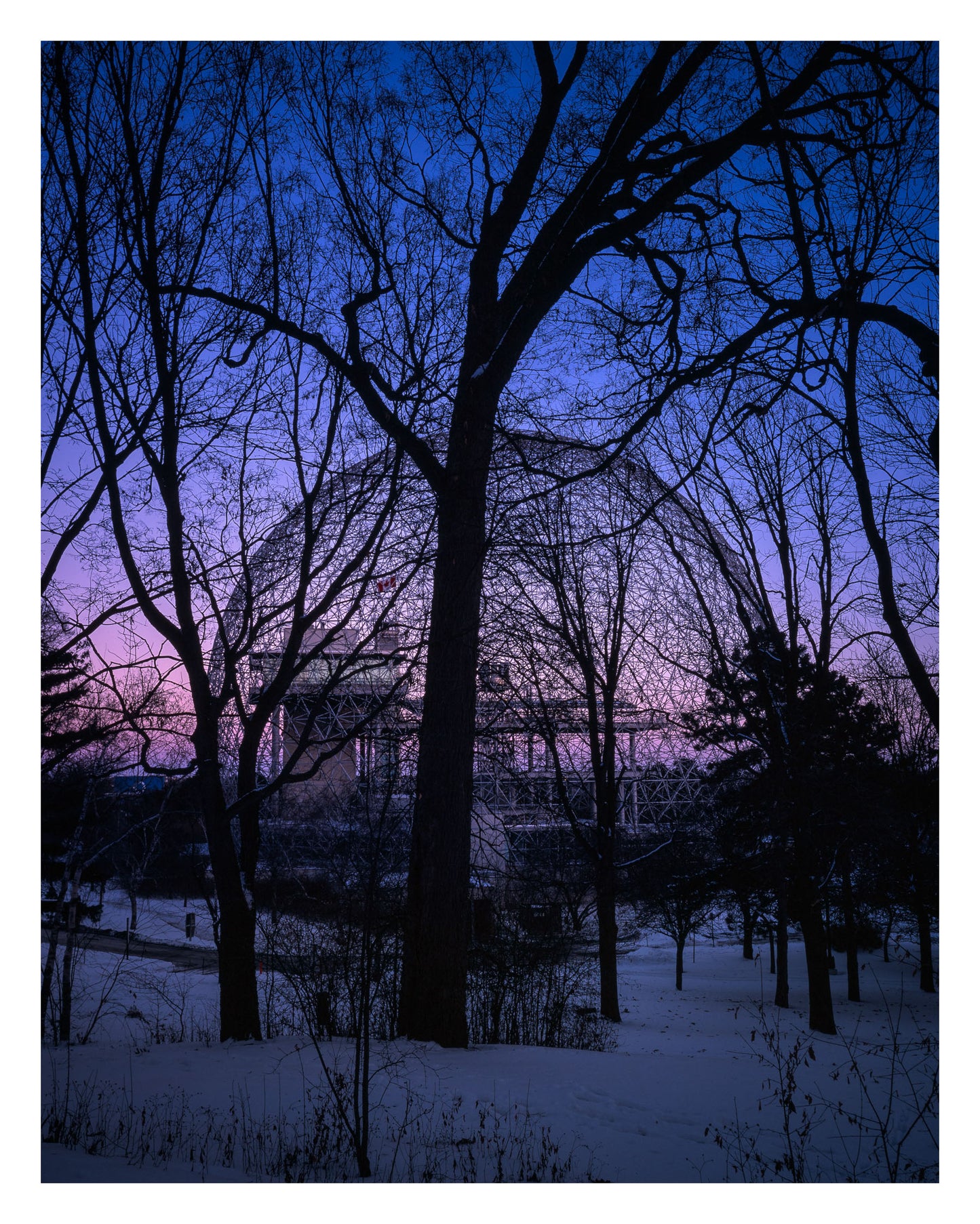 Biosphère entre les arbres