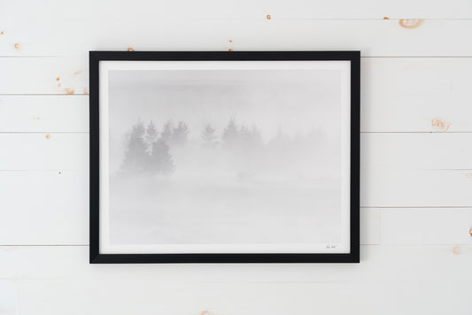 Blizzard dans les arbres (17x22 Black Frame)