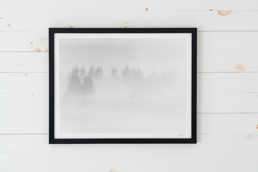 Blizzard dans les arbres (17x22 Cadre Noir)